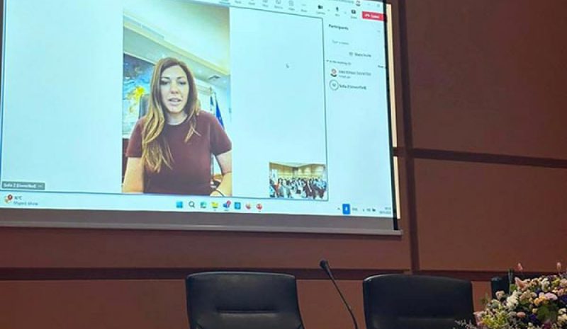 Πρόγραμμα με συμμετοχή ξένων  φοιτητών στο Πανεπ. Ιωαννίνων