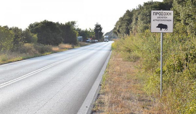 Μόνο για τους Έλληνες οδηγούς  οι πινακίδες διέλευσης ζώων;