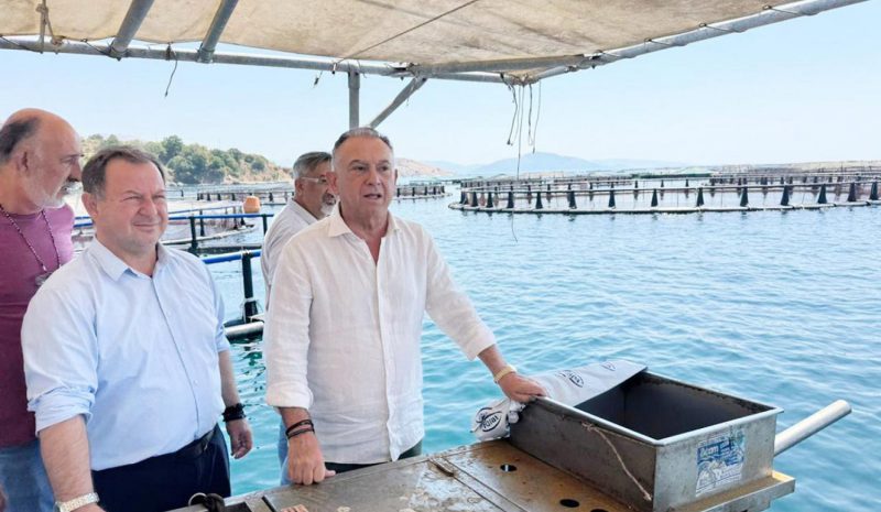 Οι ιχθυοκαλλιέργειες πυλώνας ανάπτυξης για τη Θεσπρωτία