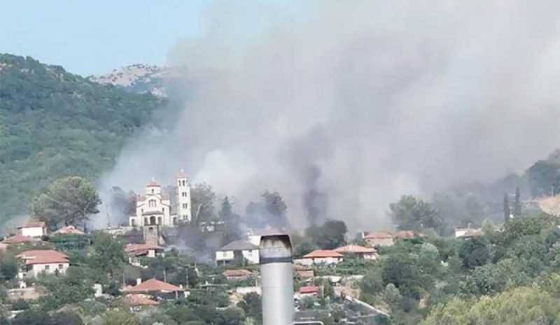 Μέτρα για τους πληγέντες από  τις πυρκαγιές ζητάει η «Ομόνοια»