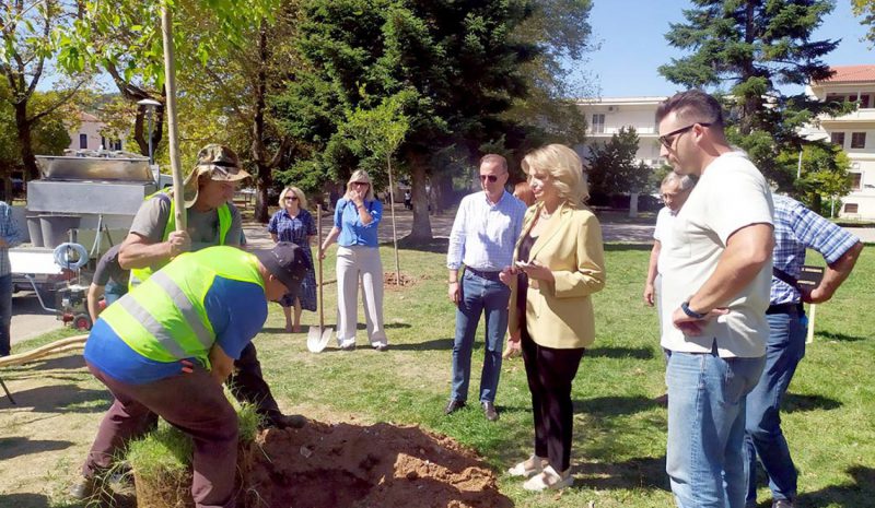 «Τα δέντρα της μνήμης» επικοινωνούν  το πρόβλημα της άνοιας στην κοινωνία! 