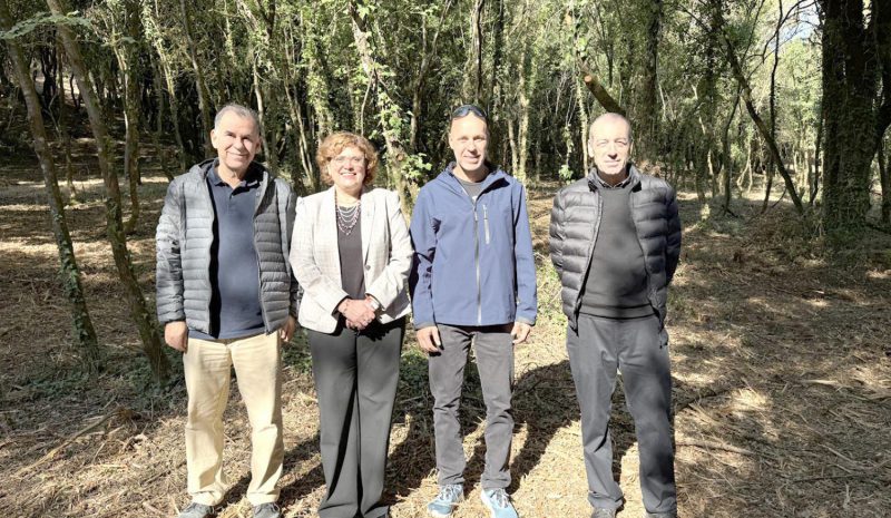 Καθαρίζεται μετά από 80 χρόνια το δάσος του Πανεπ. Ιωαννίνων