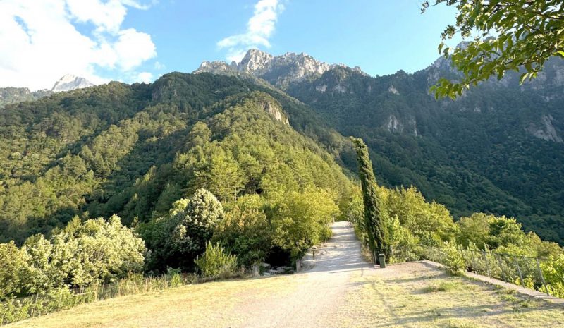 Δύο οι τραυματισμοί χθες στο  μονοπάτι της Μονής Στομίου