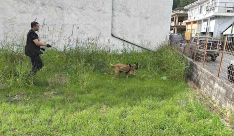 Ο σκύλος της Θηροφυλακής  εντόπισε φόλες στους Φιλιάτες!