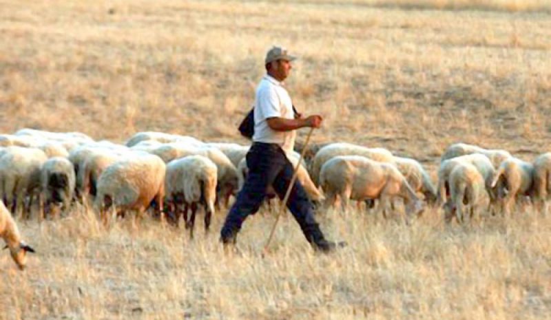 «ΕΝΩΣΗ ΑΓΡΟΤΩΝ:» Μέχρι 31 Δεκεμβρίου  η τηλεκπαίδευση των κτηνοτρόφων