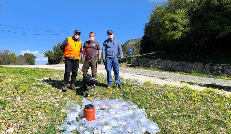 Περισσότερα από 150 δηλητηριασμένα δολώματα στις πλαγιές του Γράμμου