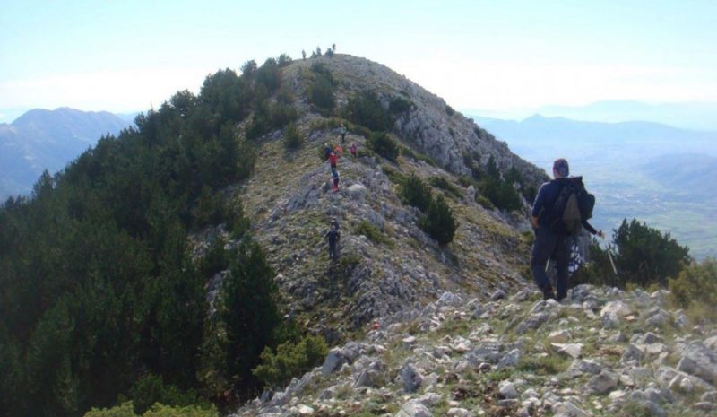 Στον Γκορίλα θ’ ανέβει  ο Ορειβατικός Σύλλογος
