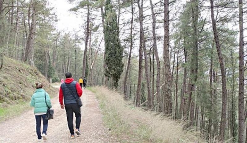 Θησαυρός για την Ήπειρο είναι το περιβάλλον της!