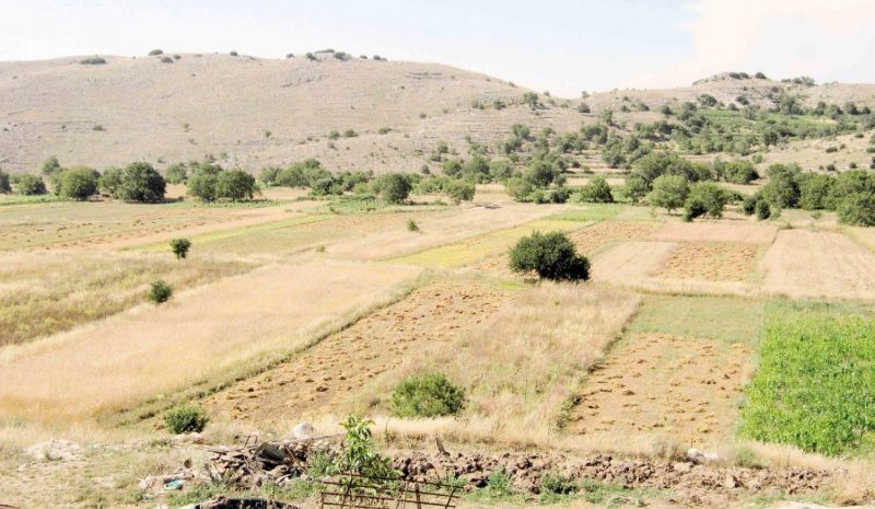 Έλεγχοι και κανόνες για να μπει τέλος στις παράνομες επιδοτήσεις