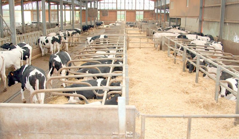 263,5 εκατ. ευρώ για  τα νέα Σχέδια Βελτίωσης