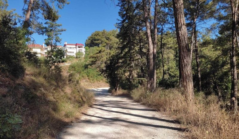 Καίνε την χώρα και  δεν υπάρχει τιμωρία! 