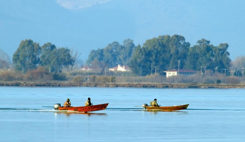 Παράνομη αλιεία απειλεί το ευαίσθητο οικοσύστημα του Αμβρακικού Κόλπου