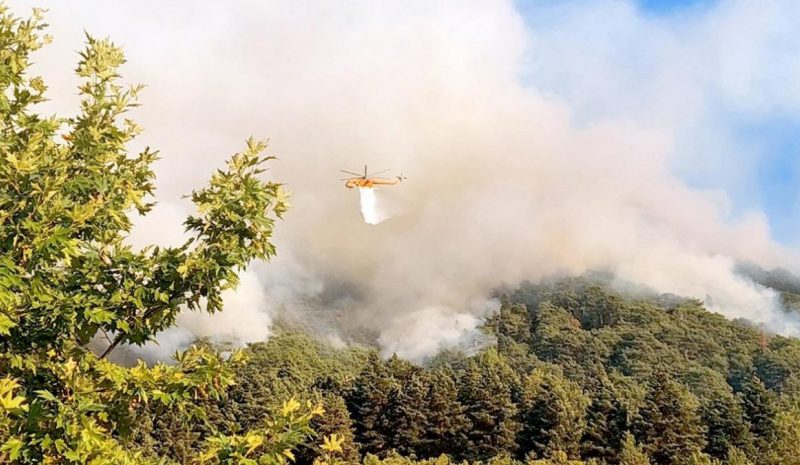Η βροχή μόνη… ελπίδα για να σβήσει οριστικά η φωτιά στην Τραπεζίτσα!