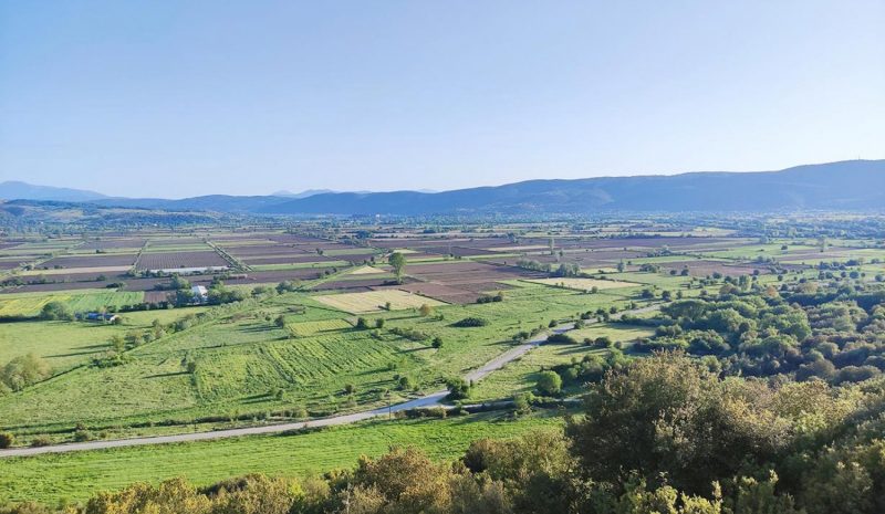 Άδικος ο αποκλεισμός των παραγωγών Λαψίστας από τις ενισχύσεις de minimis