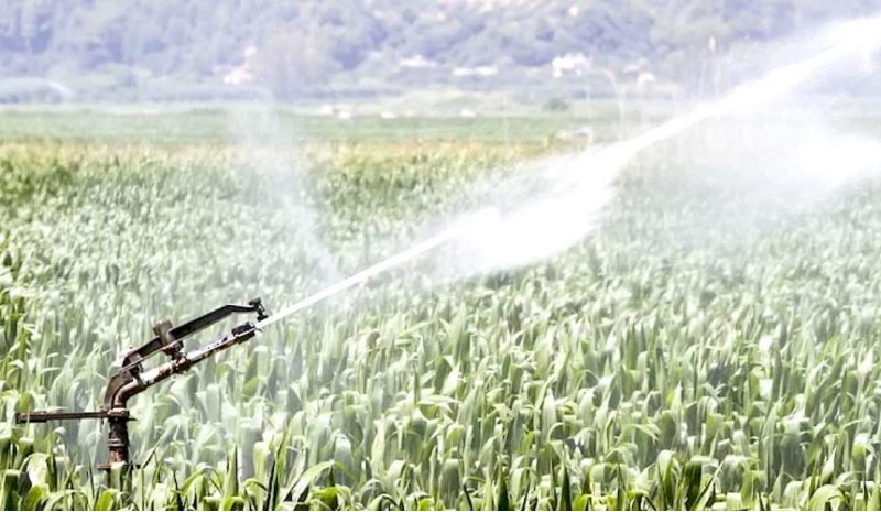 Απαιτείται σχεδιασμός για να μη μένει το Λεκανοπέδιο χωρίς νερό άρδευσης!