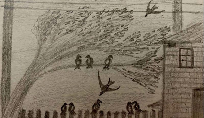 Ο Σεπτέμβρης και  τα πρωτοβρόχια…  
