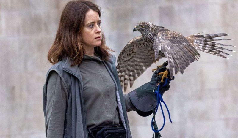 «H Is for Hawk» στο φουαγιέ του ΚΕΠΑΒΙ
