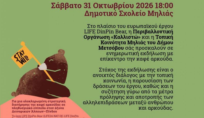    Εκδήλωση στη Μηλιά Μετσόβου για την καφέ αρκούδα
