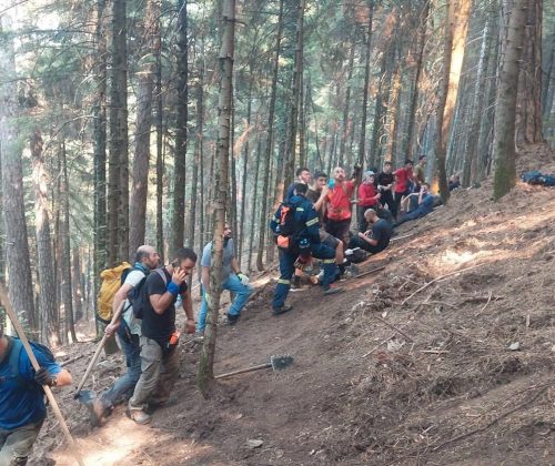 Πάνω από 6.200 στρέμματα δάσους έχουν γίνει στάχτη στην Τραπεζίτσα!